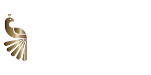 Art Casino gives