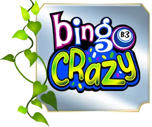 Bingo Crazy Casino gives casino birthday promotions