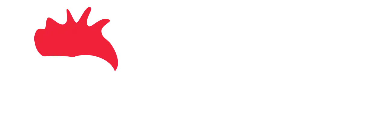 Gallo Casino gives bonus