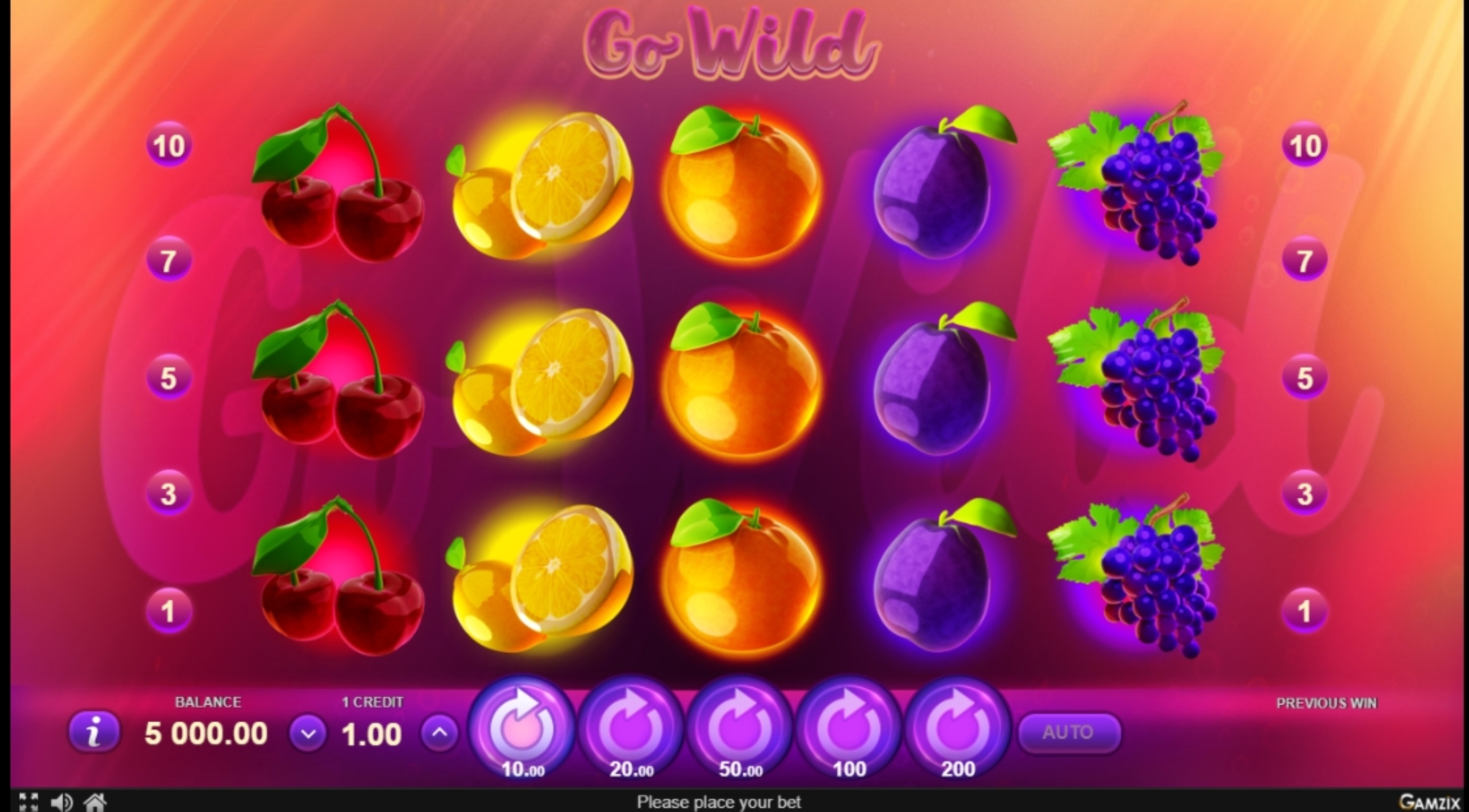 Reels in Go Wild Slot Game by Gamzix