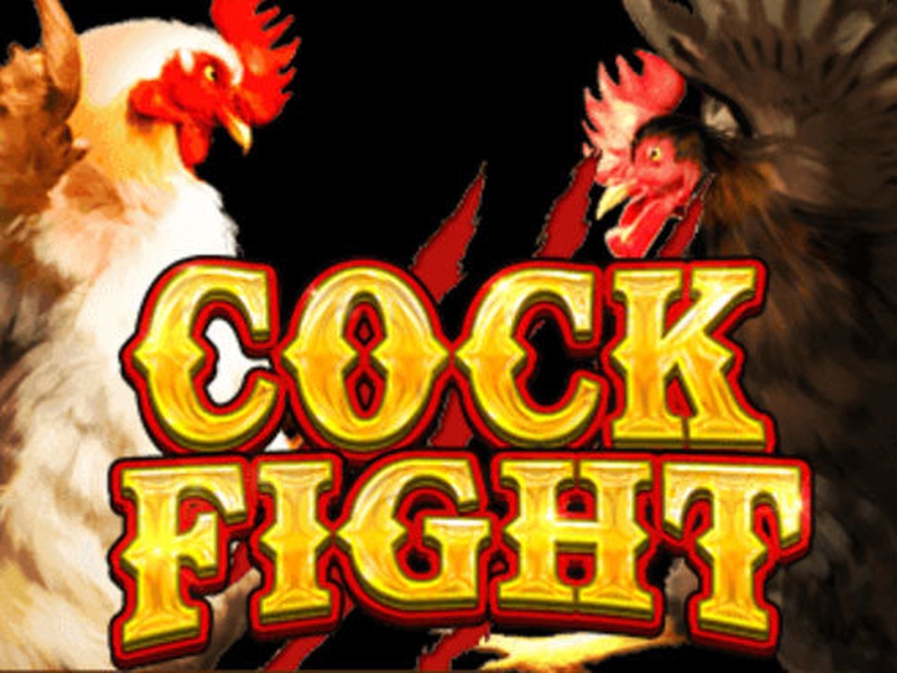 Cock Fight demo