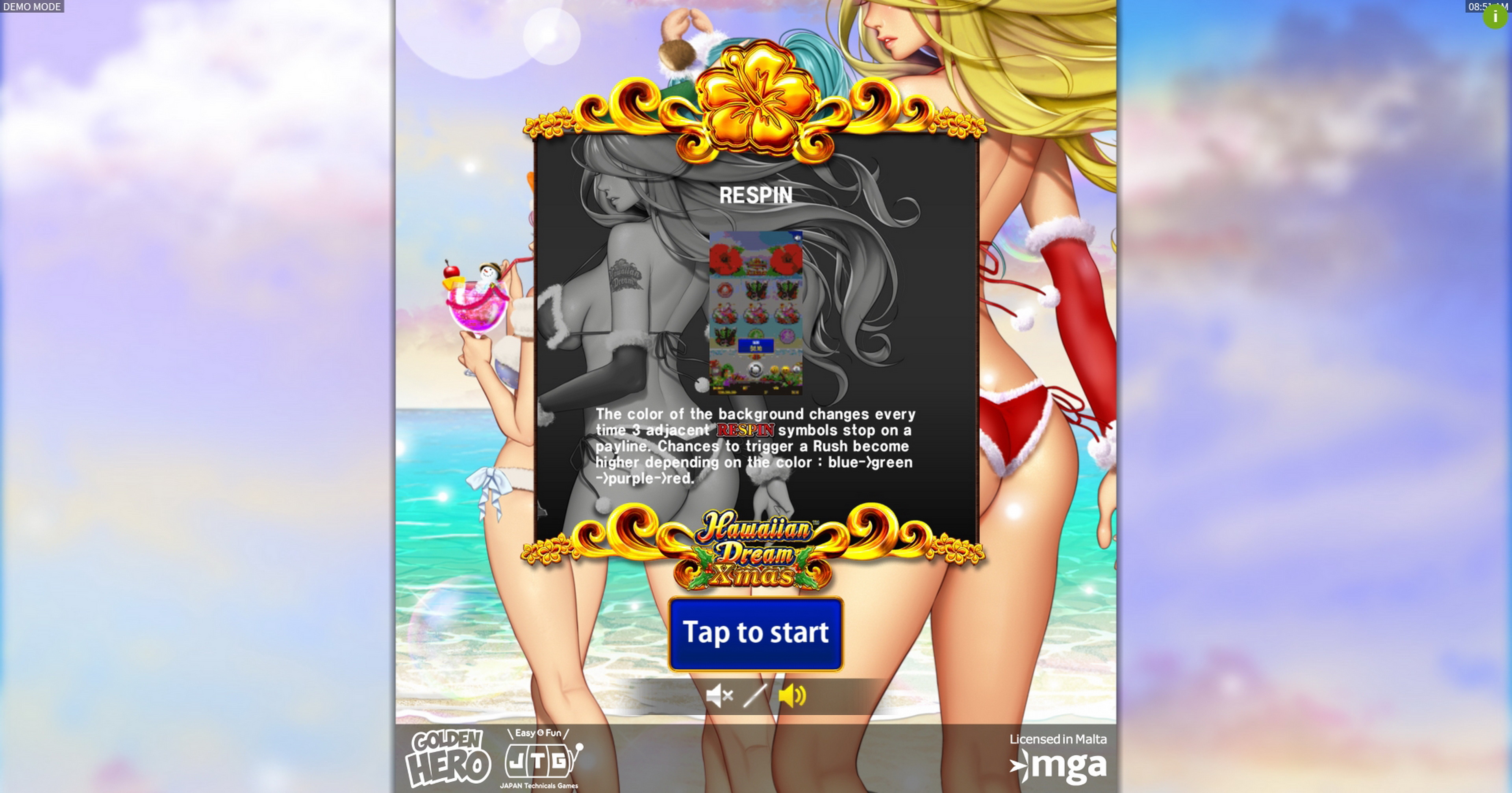 Play Hawaiian Dream Xmas Free Casino Slot Game by JTG