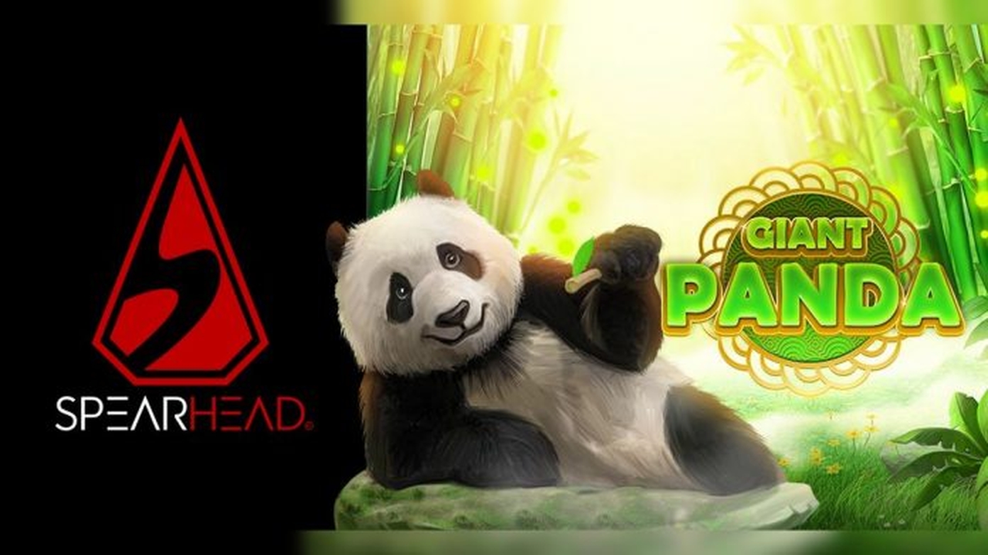 The Giant Panda Online Slot Demo Game by Spearhead Studios