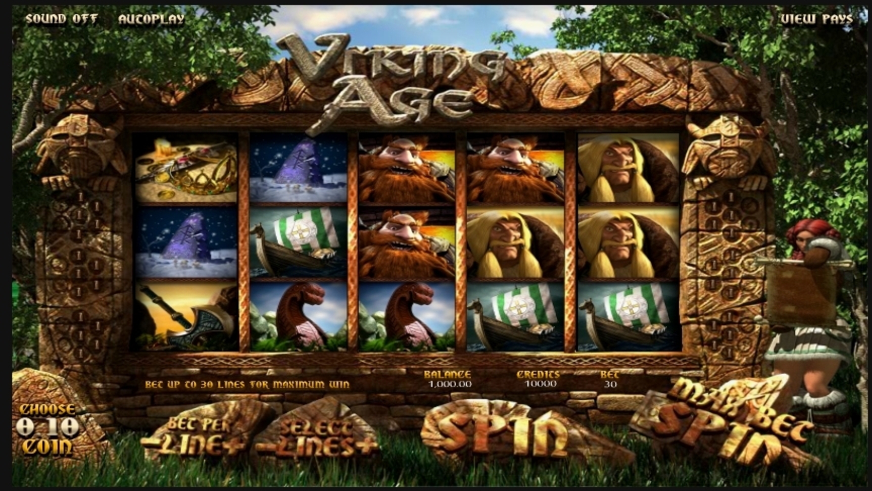 Reels in Viking Age Slot Game by Betsoft