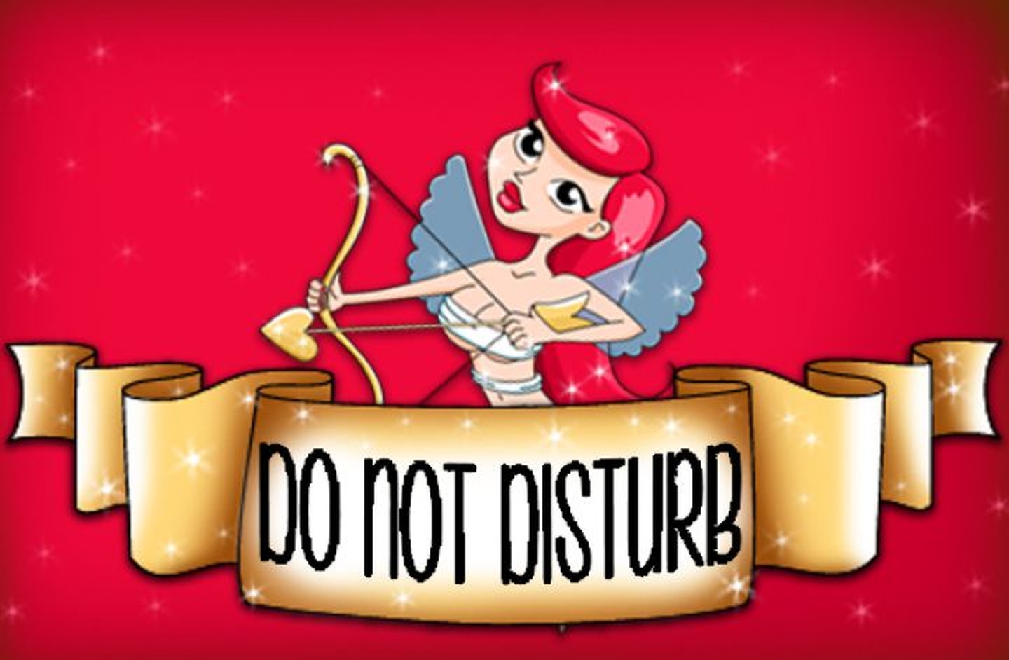 The Do Not Disturb Online Slot Demo Game by Booming Games