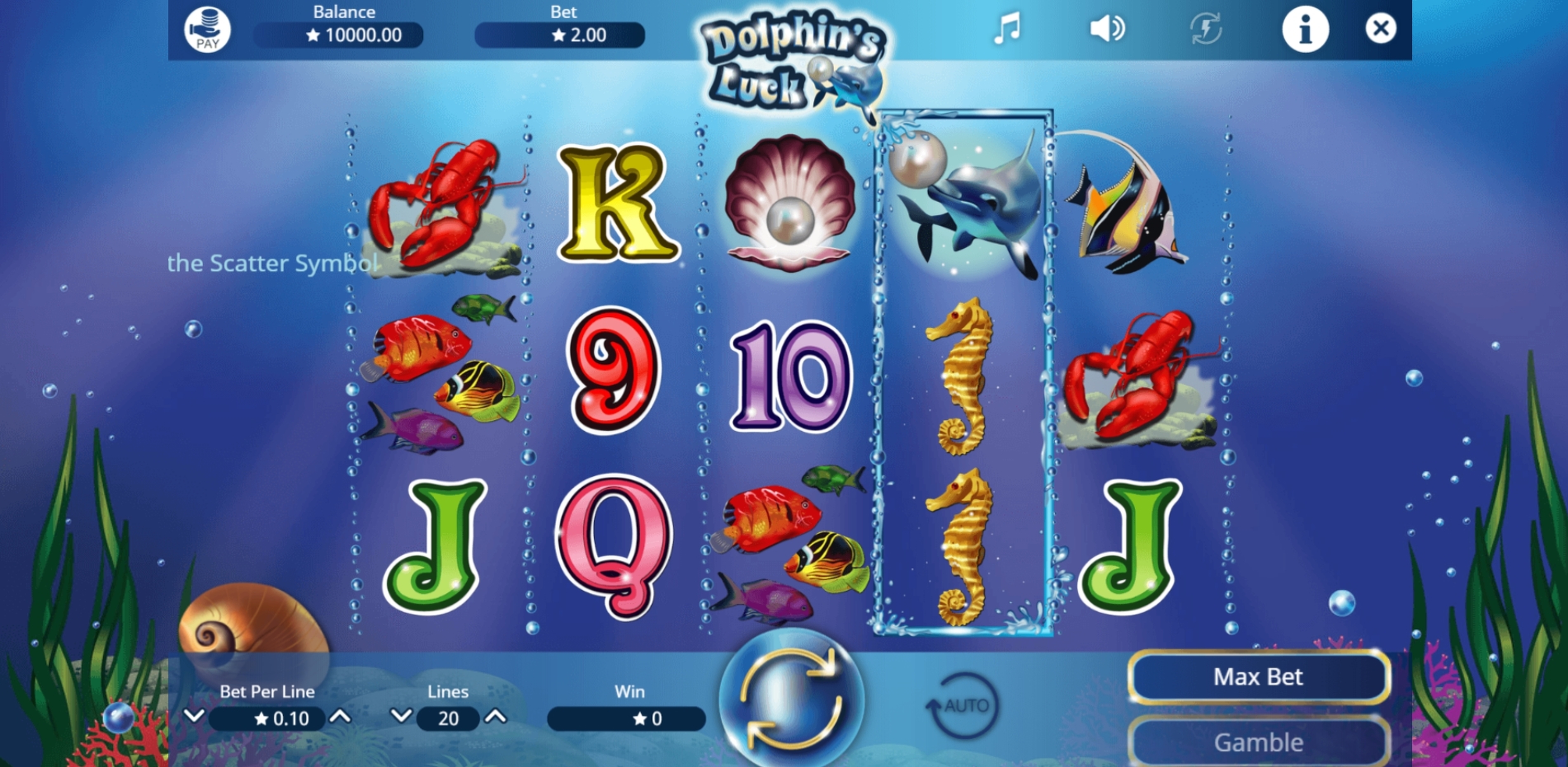 Reels in Dolphins Luck Slot Game by Booming Games