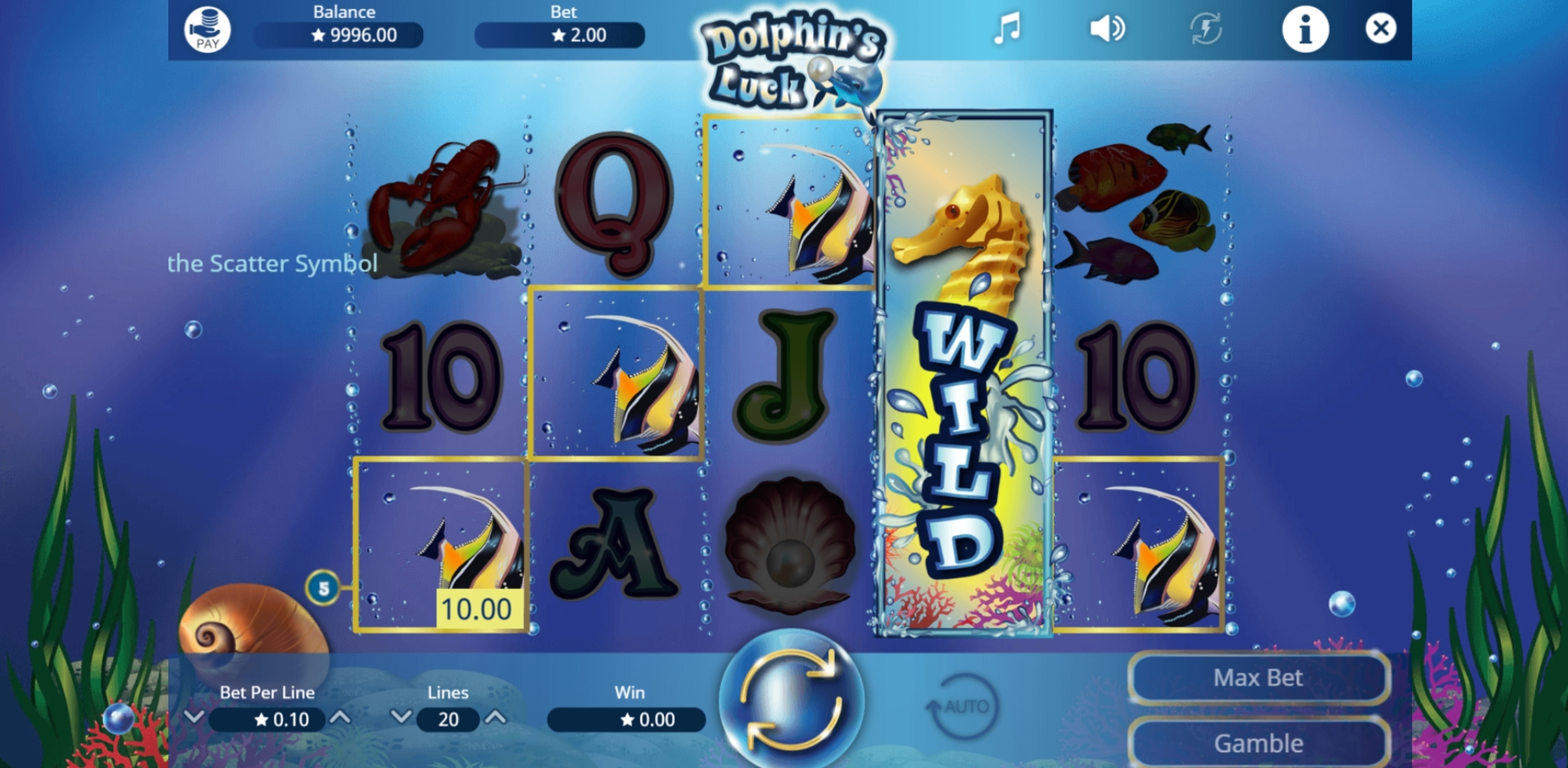 Win Money in Dolphins Luck Free Slot Game by Booming Games
