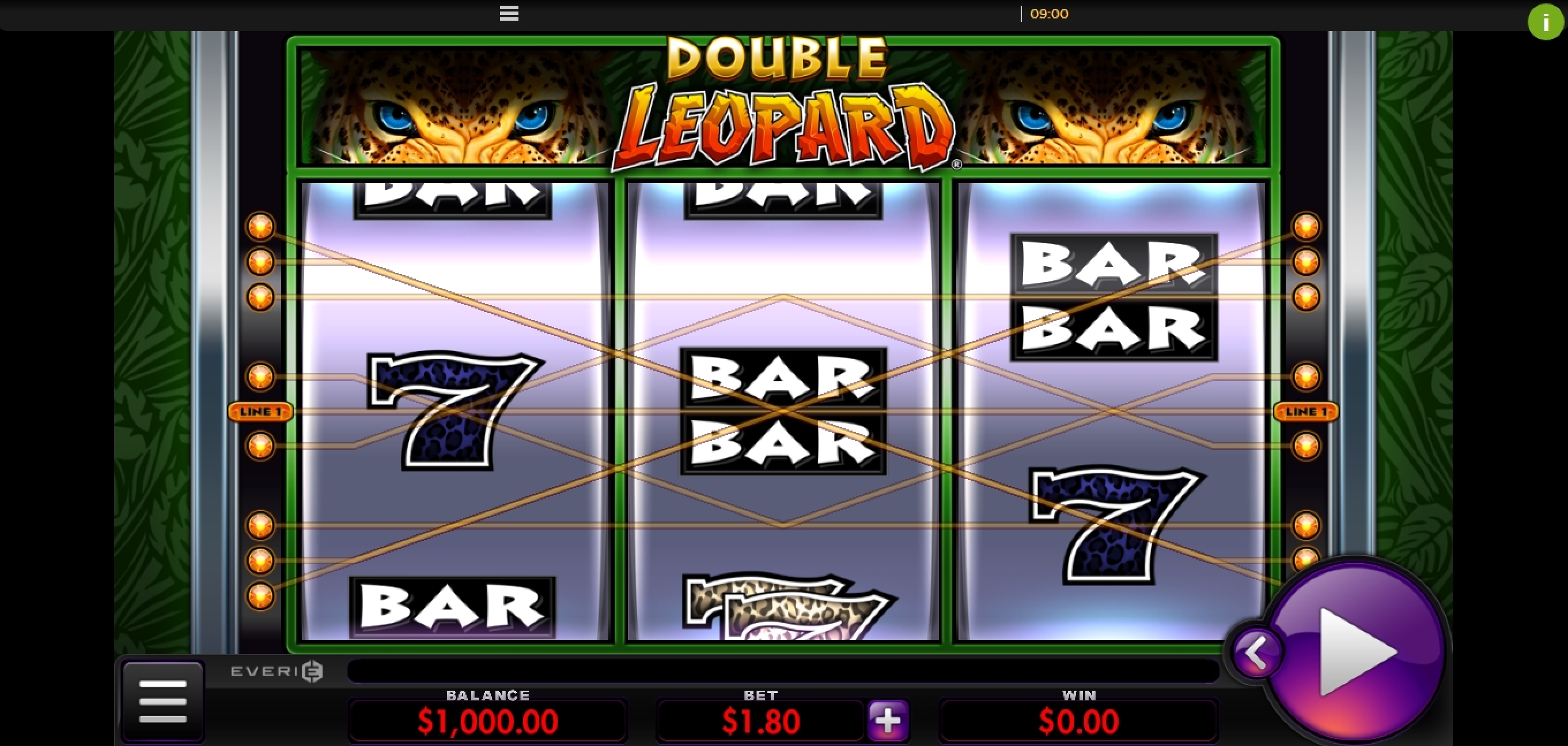 Reels in Double Leopard Slot Game by Everi