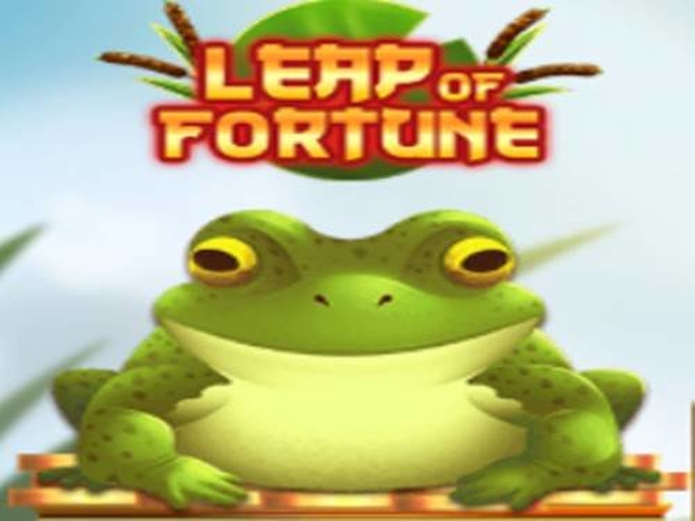 Leap Of Fortune demo