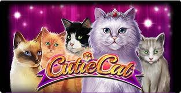 The Cutie Cat Online Slot Demo Game by Gamomat