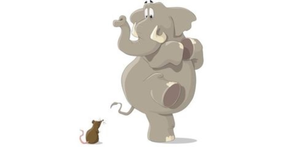 The Elephant Scratch Online Slot Demo Game by Gluck Games