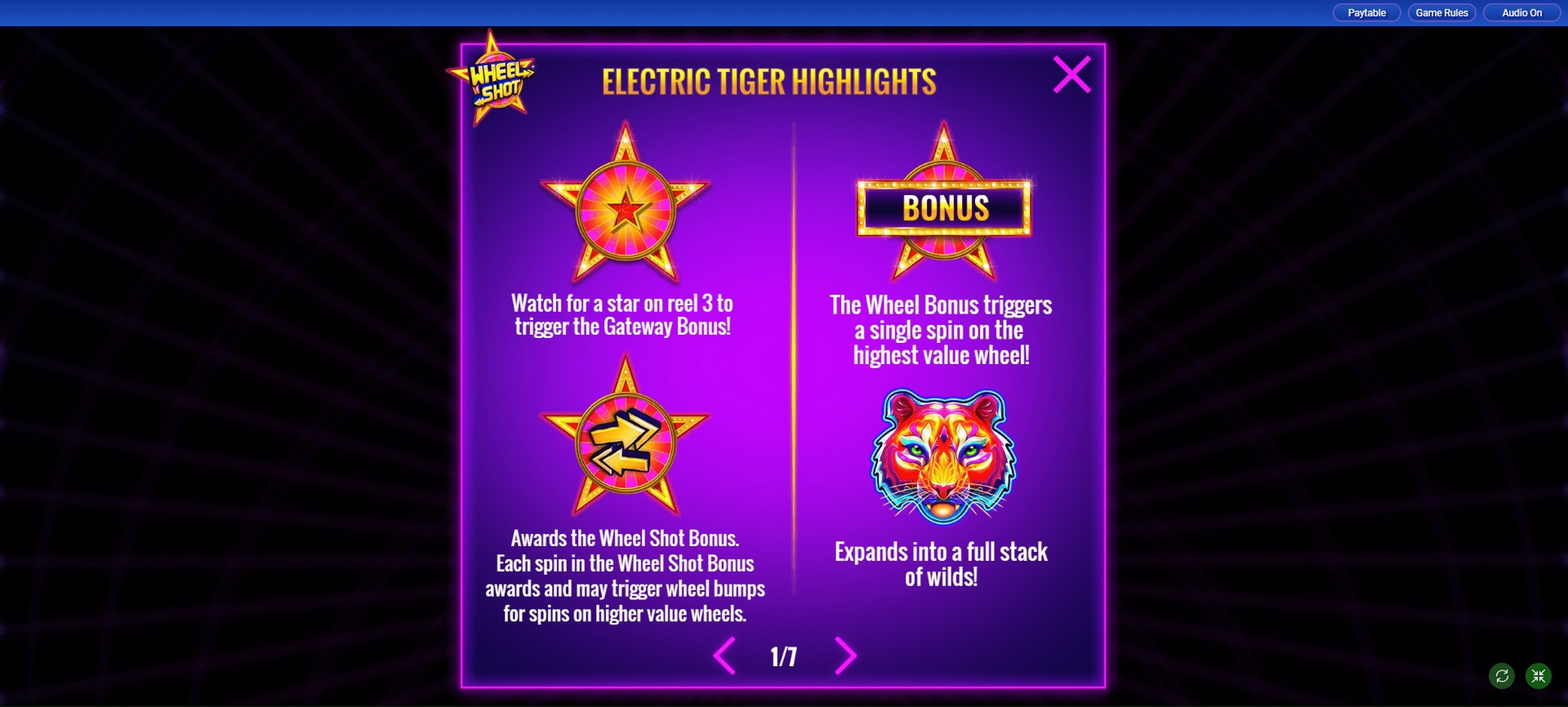 Info of Electric Tiger Slot Game by IGT