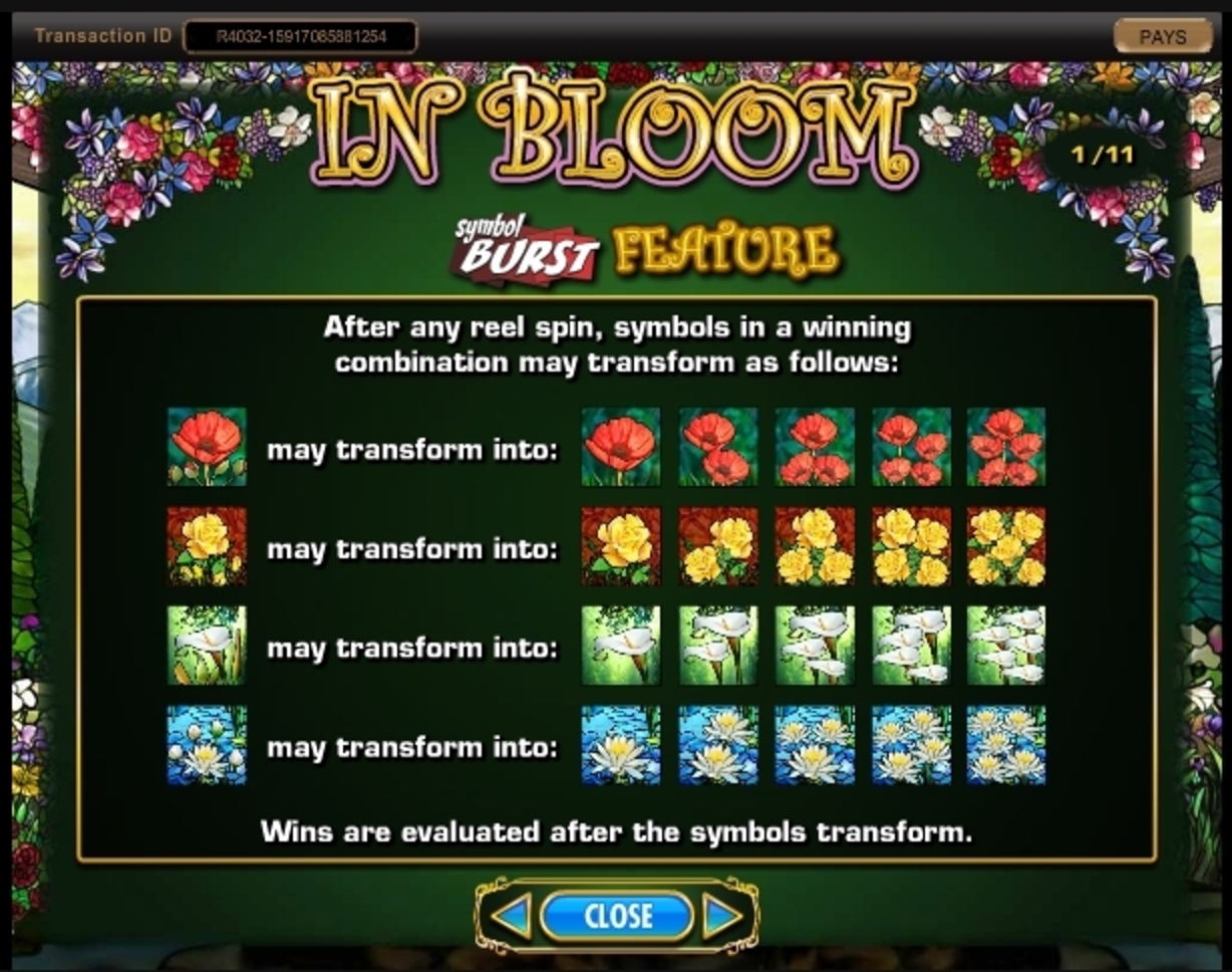 Info of In Bloom Slot Game by IGT