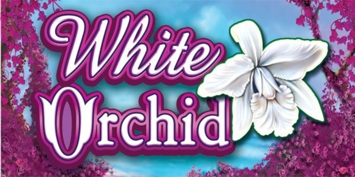 White Orchid demo