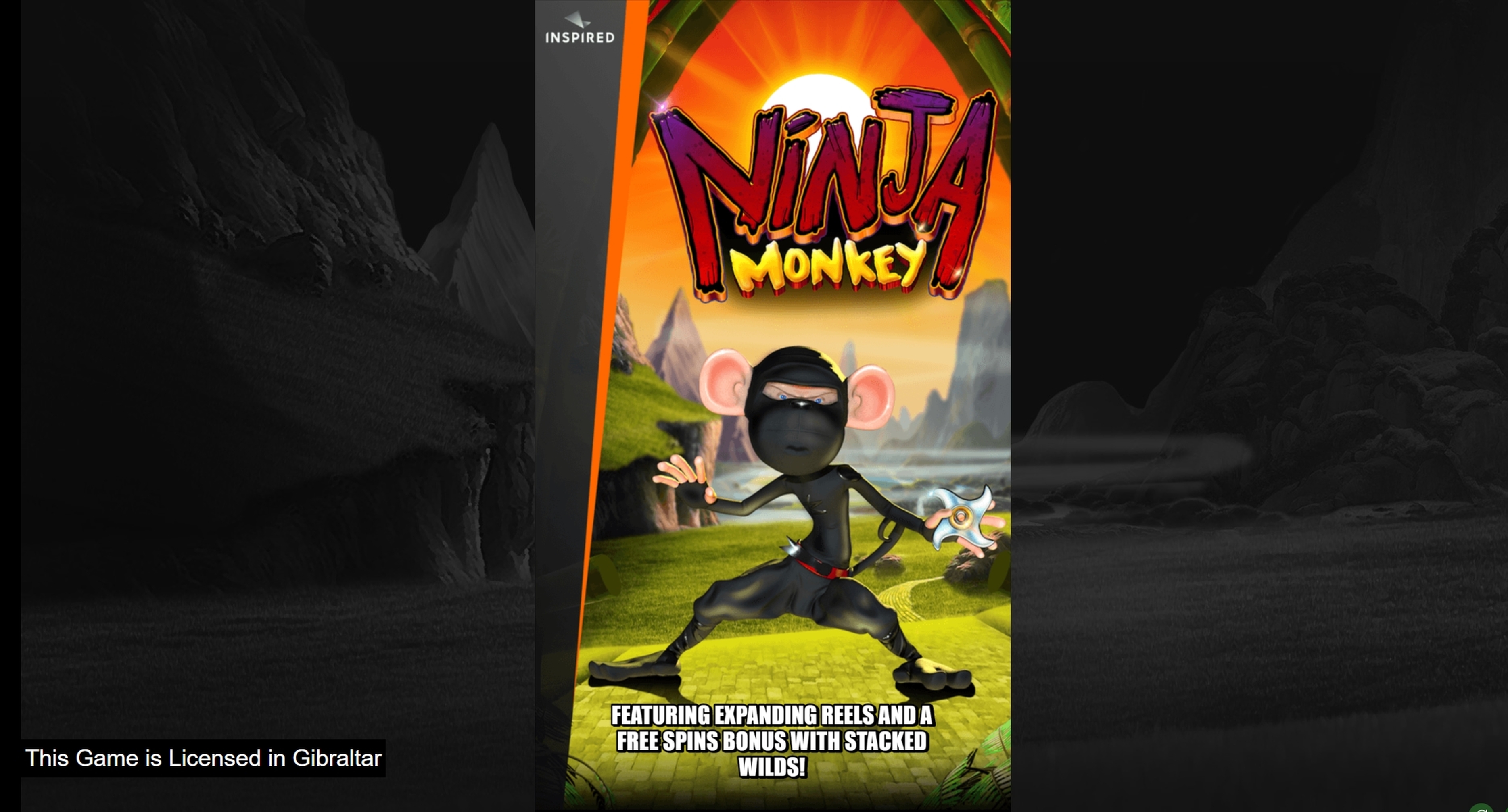 Play Ninja Monkey Free Casino Slot Game by Inspired Gaming