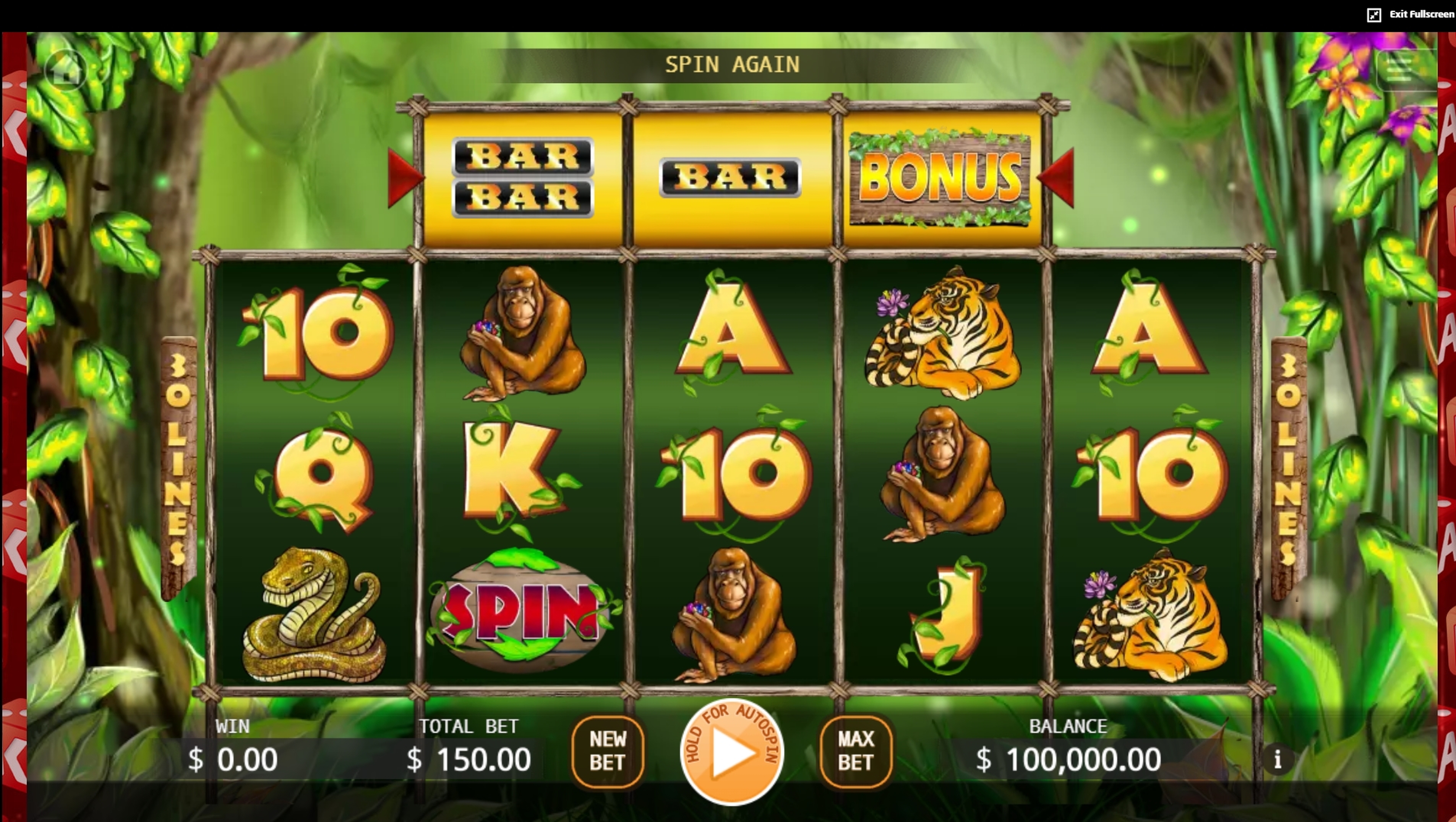 Reels in Jungle Slot Game by KA Gaming