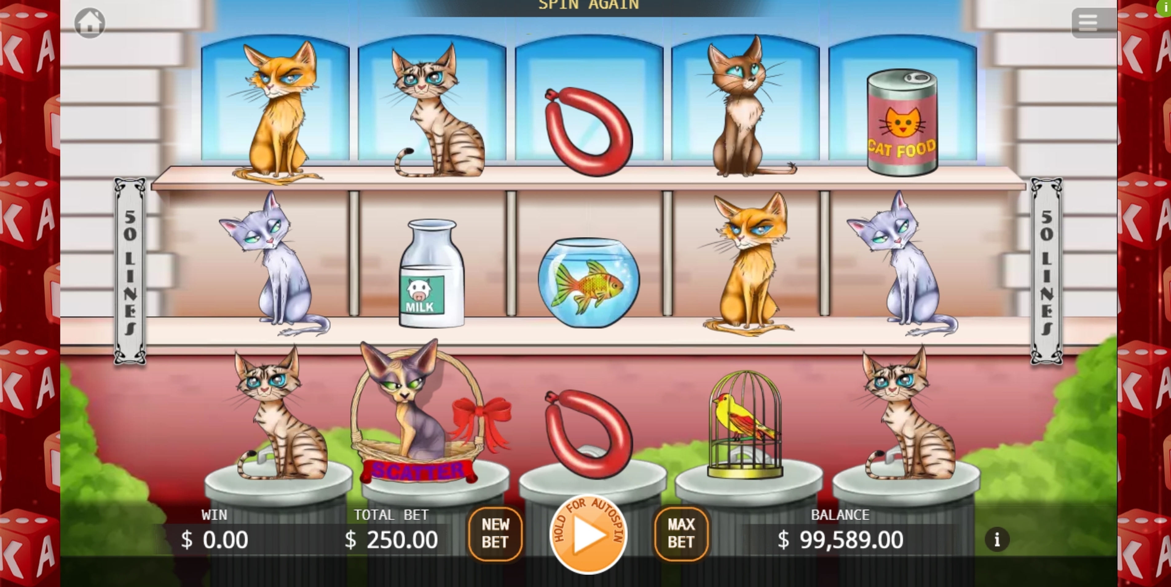 Reels in Kitty Living Slot Game by KA Gaming
