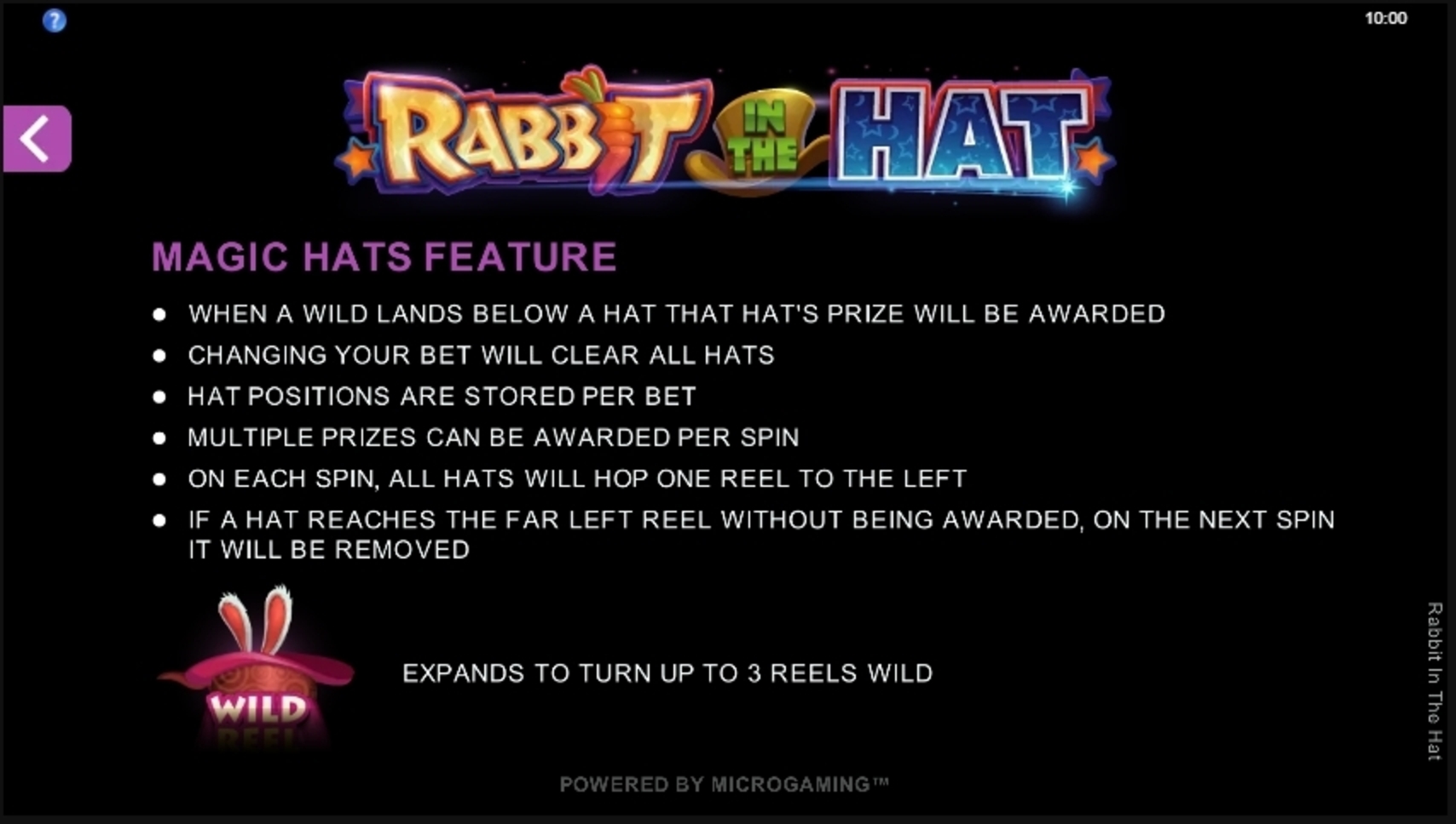 Info of Rabbit In The Hat Slot Game by Microgaming