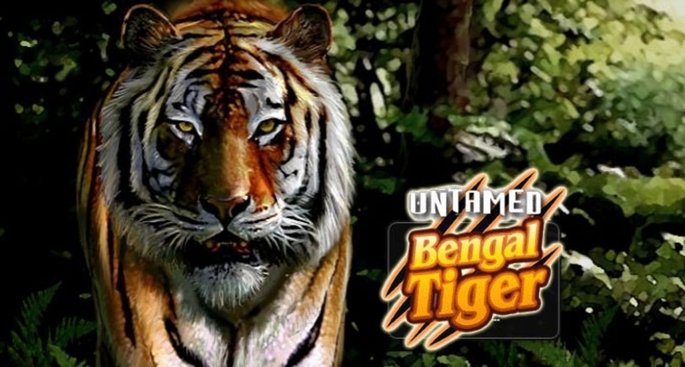 Untamed Bengal Tiger demo
