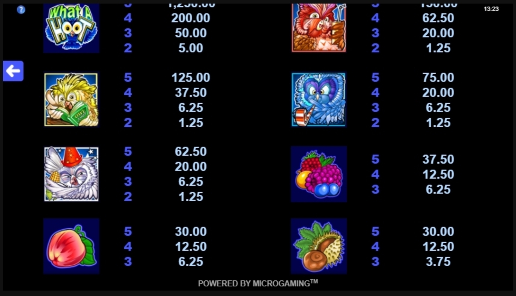 Info of What a Hoot Slot Game by Microgaming