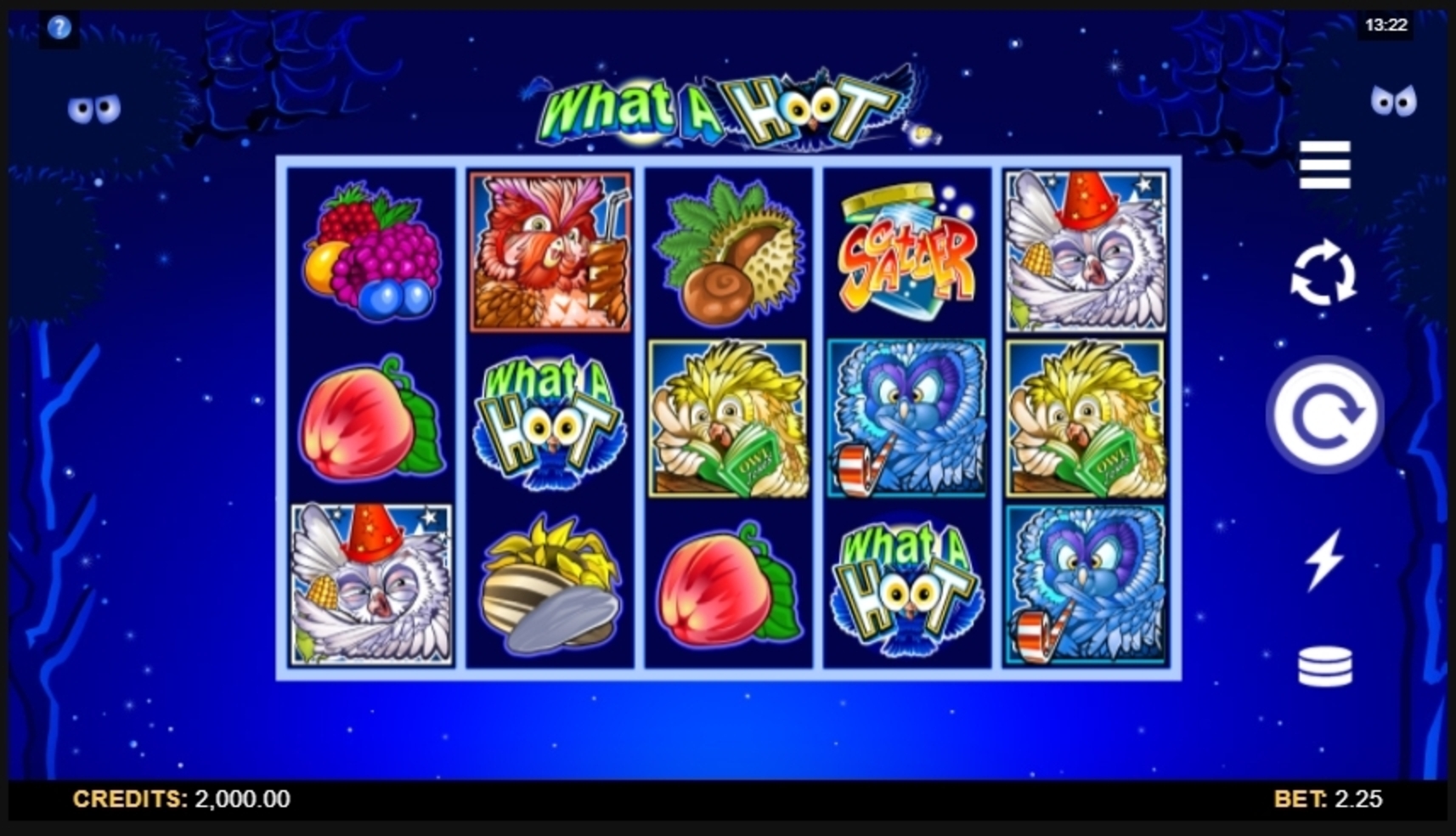 Reels in What a Hoot Slot Game by Microgaming