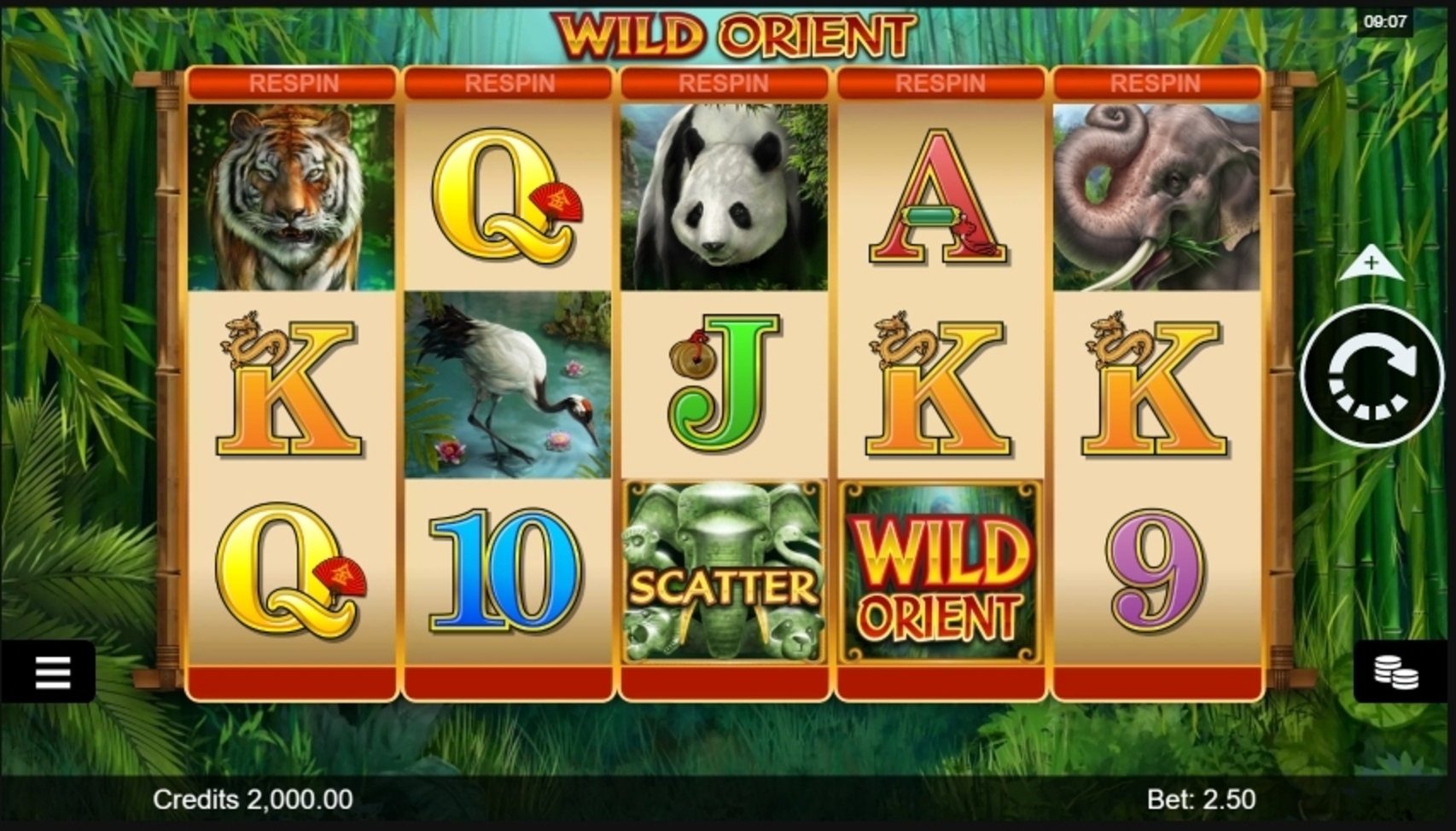 Reels in Wild Orient Slot Game by Microgaming