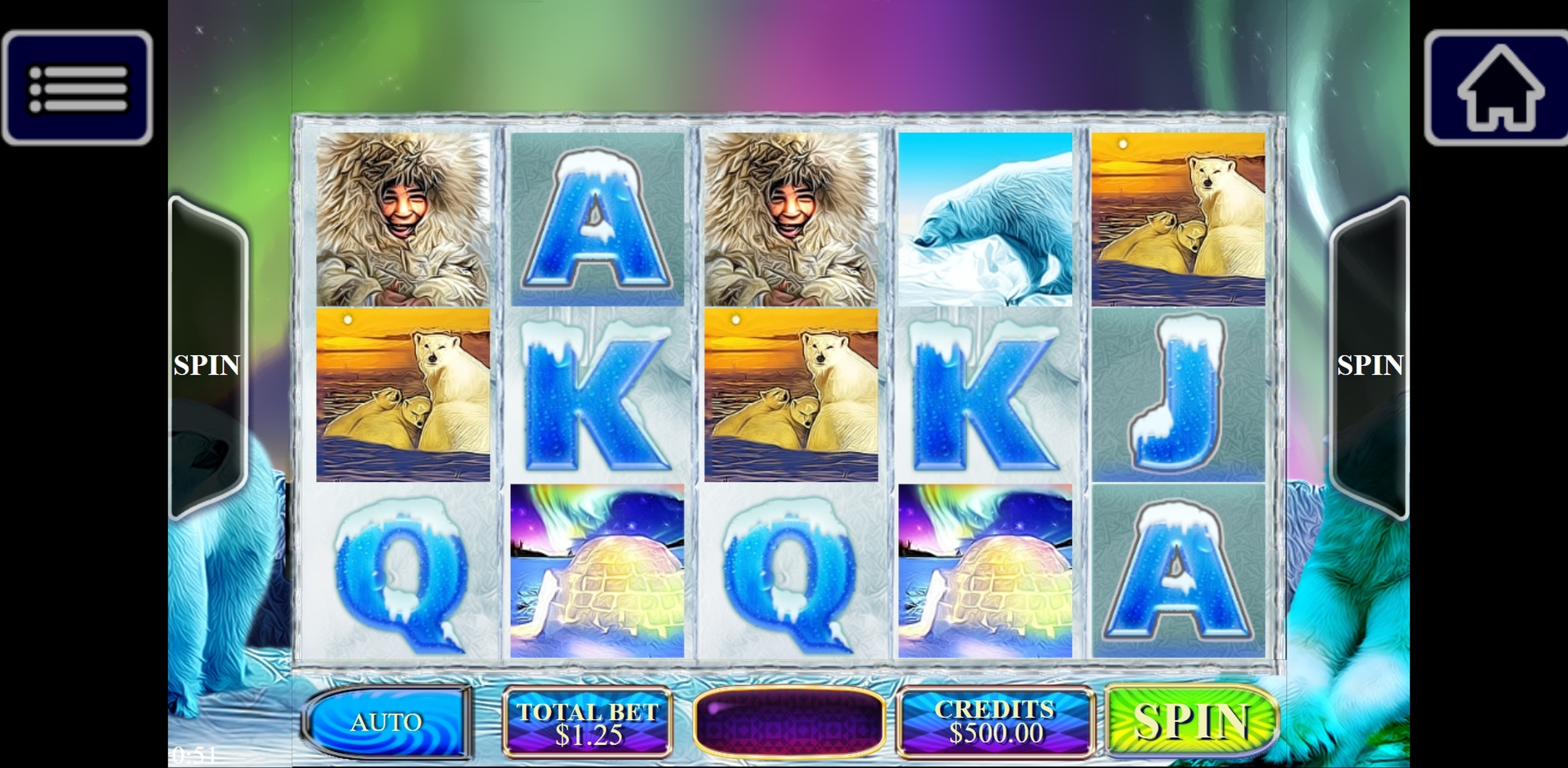 Reels in Arctic Bear Slot Game by Multislot