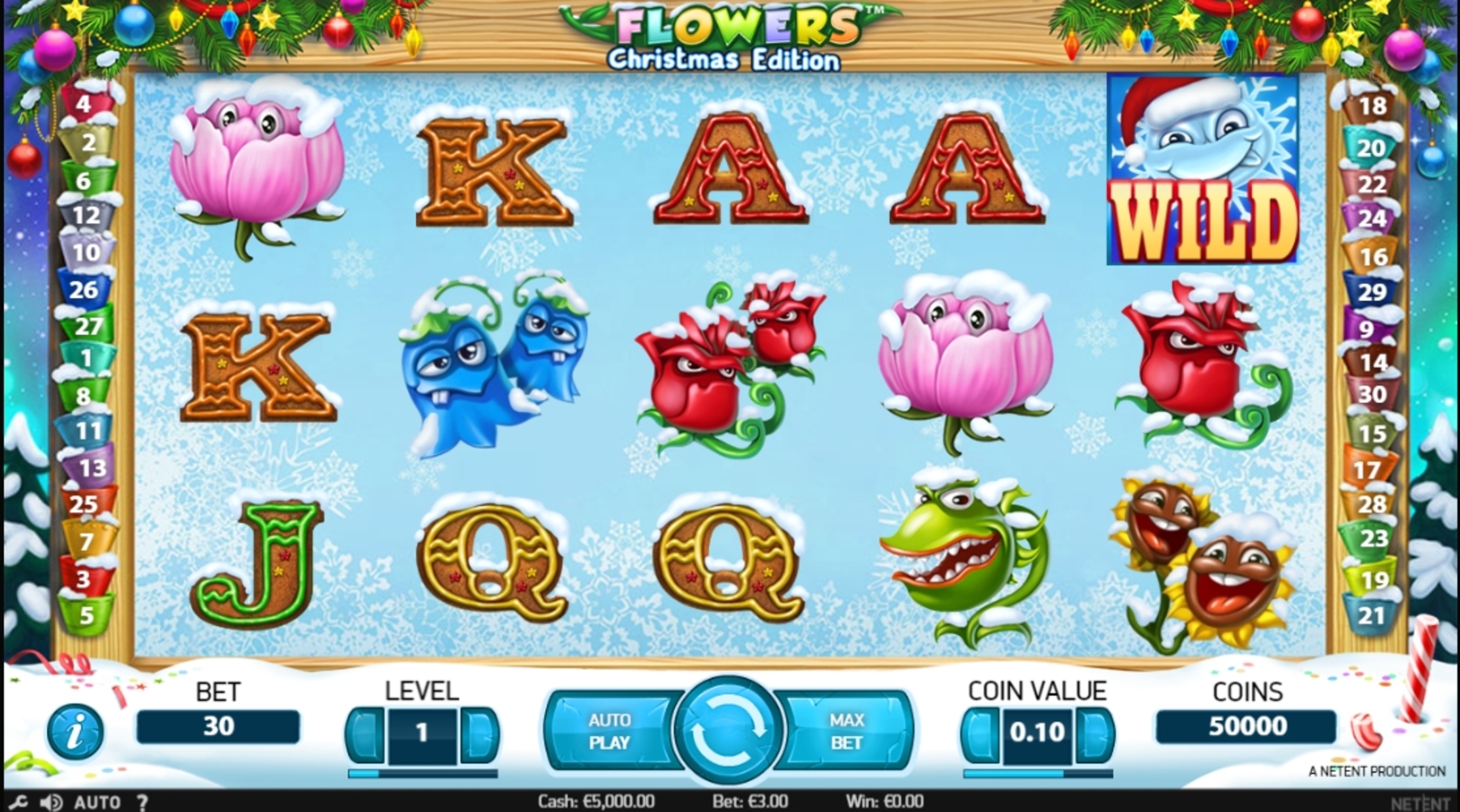 Reels in Flowers Christmas Edition Slot Game by NetEnt