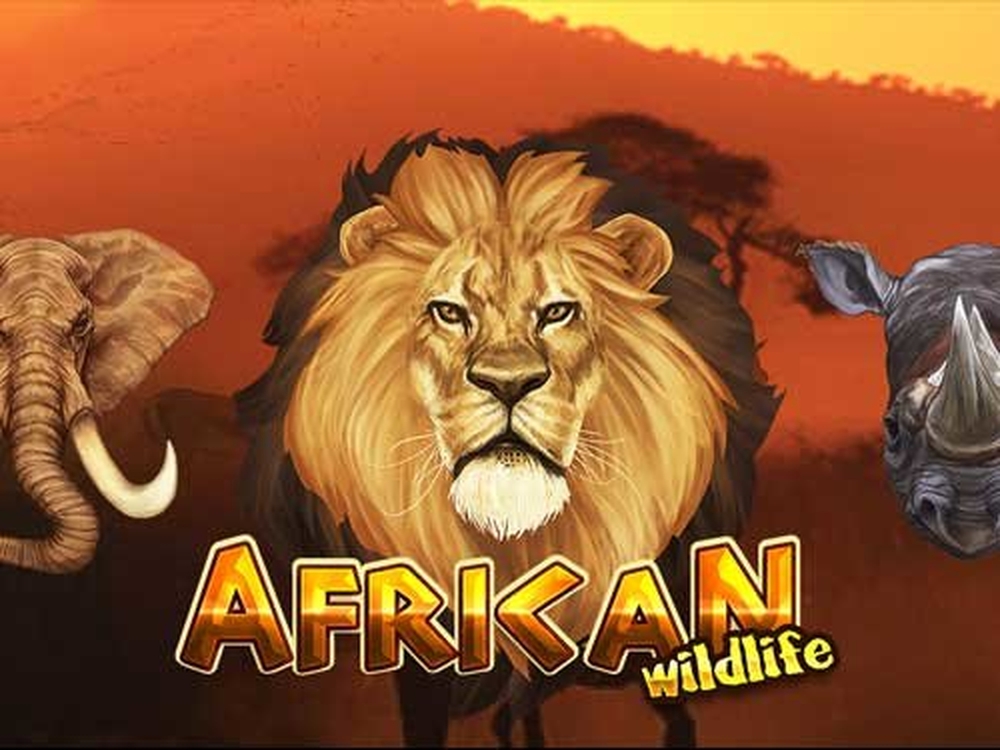 African Wildlife