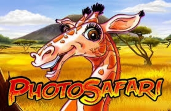 Photo Safari demo