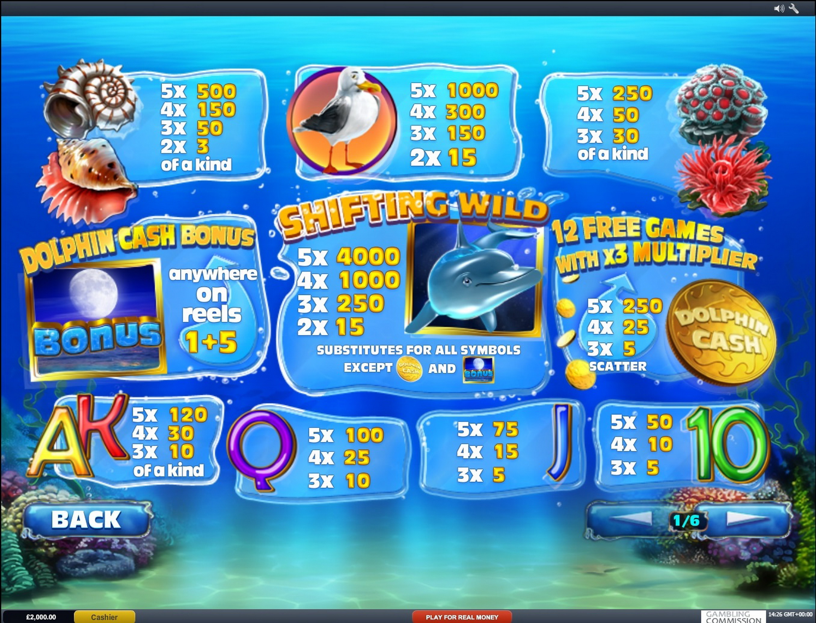 Info of Dolphin Cash Slot Game by Playtech