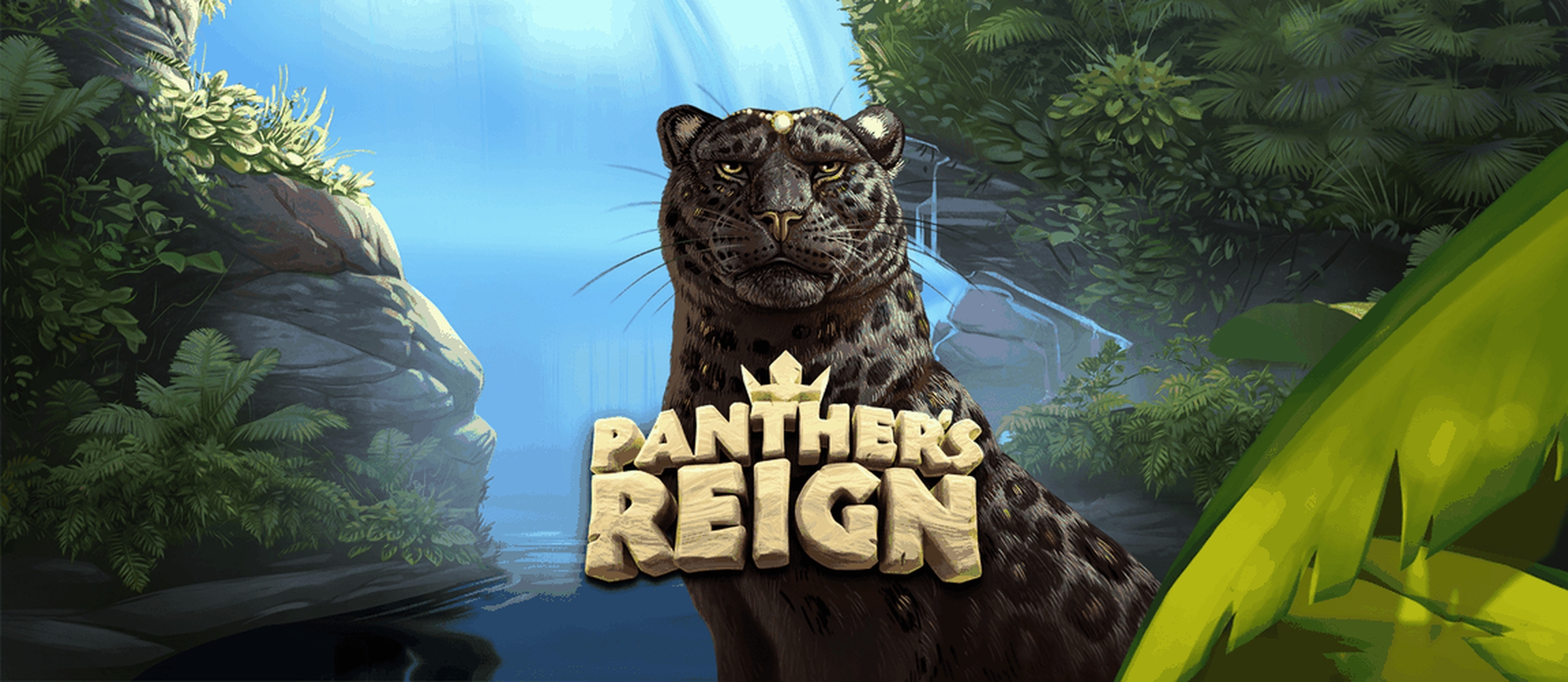 Panthers Reign demo