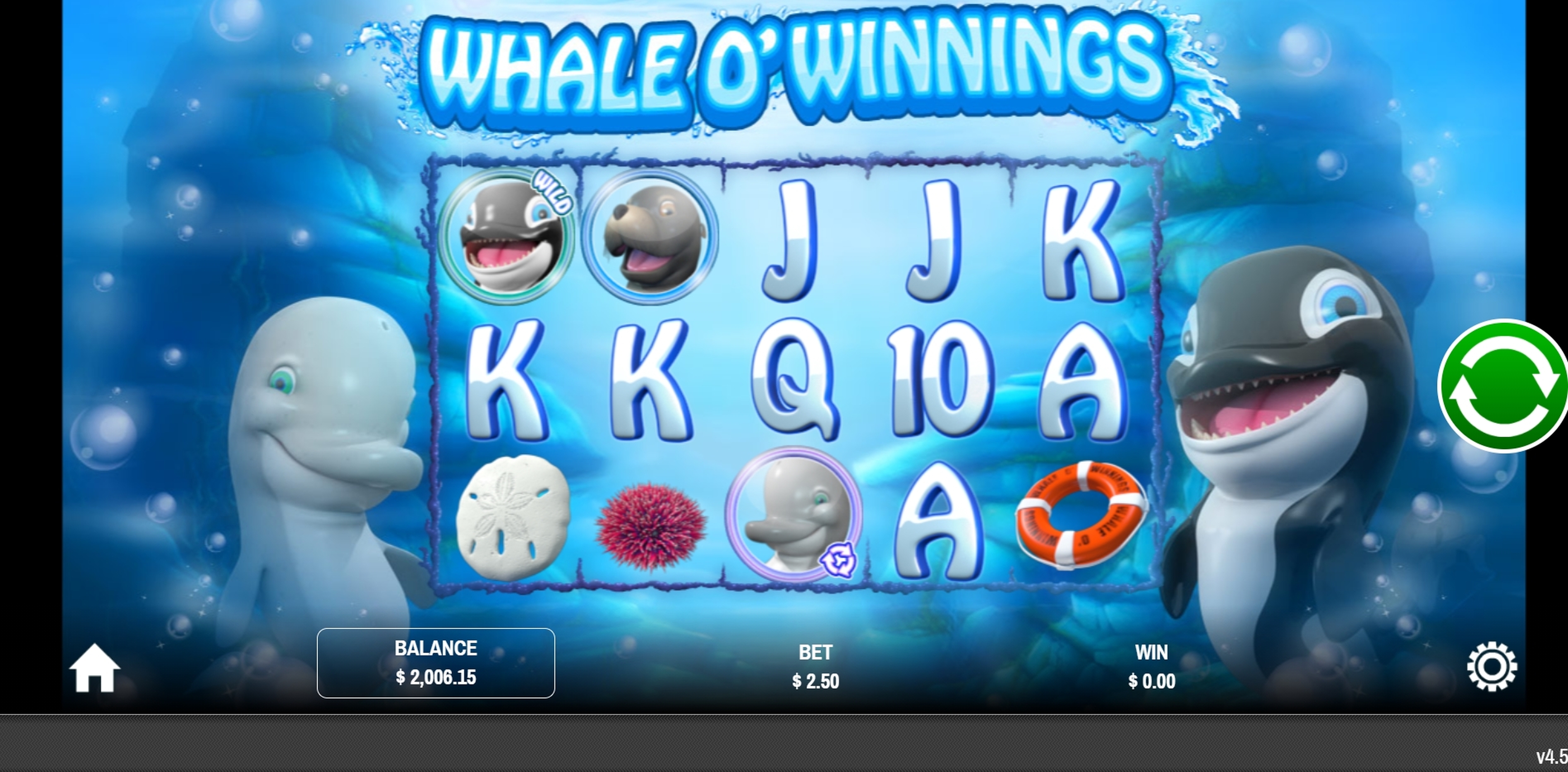 Reels in Whale O' Winnings Slot Game by Rival