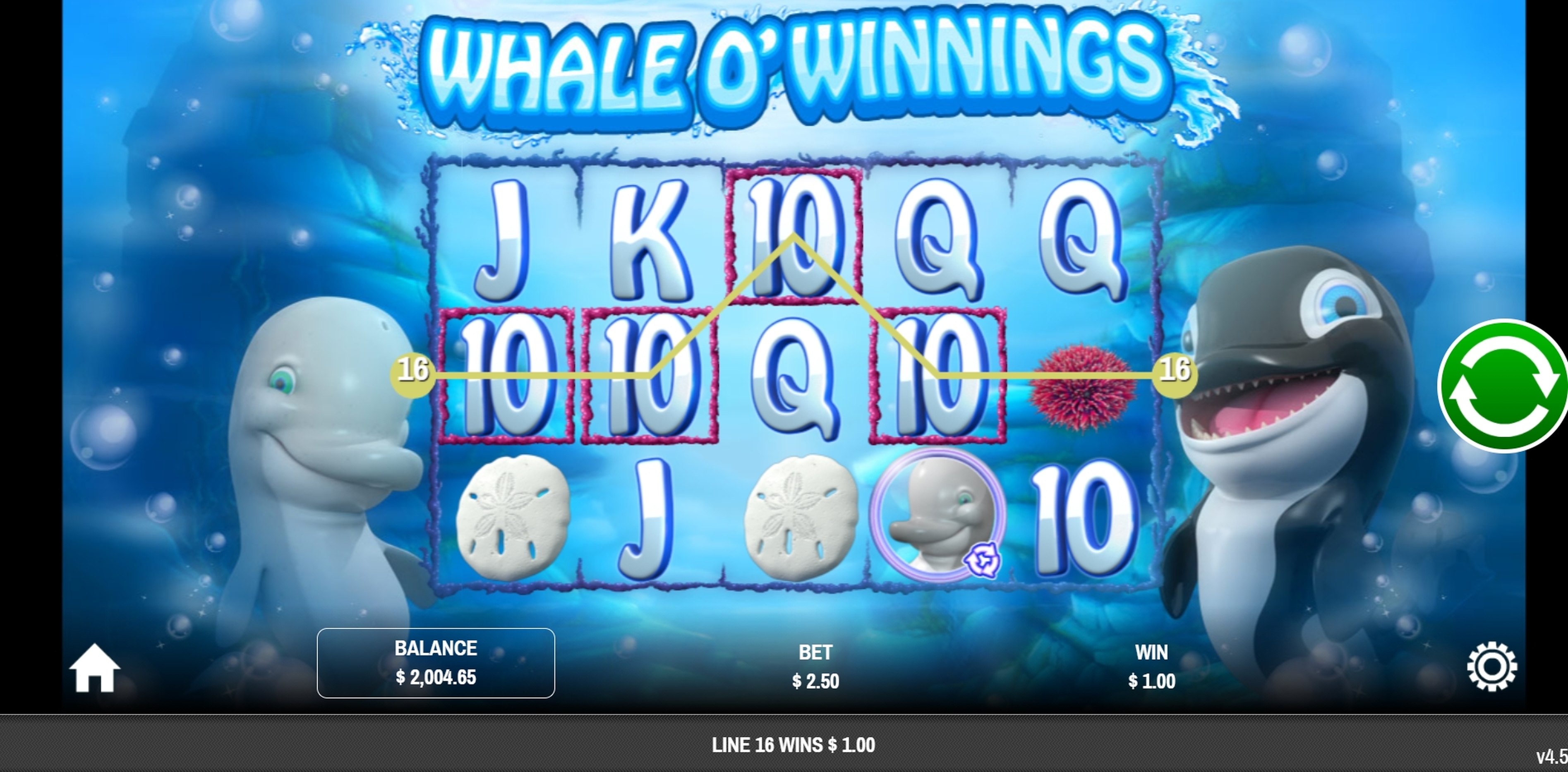 Win Money in Whale O' Winnings Free Slot Game by Rival