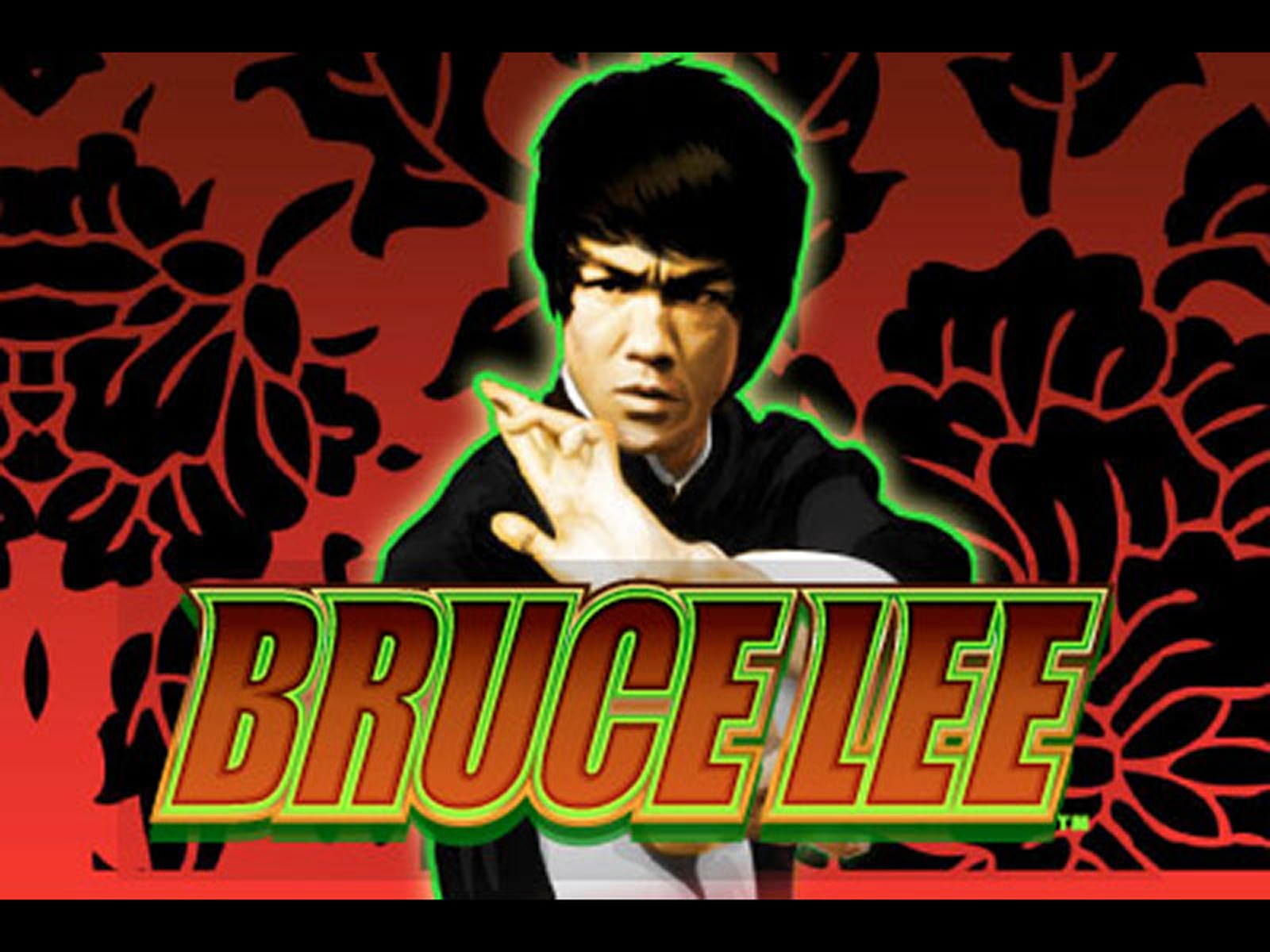 Bruce Lee demo