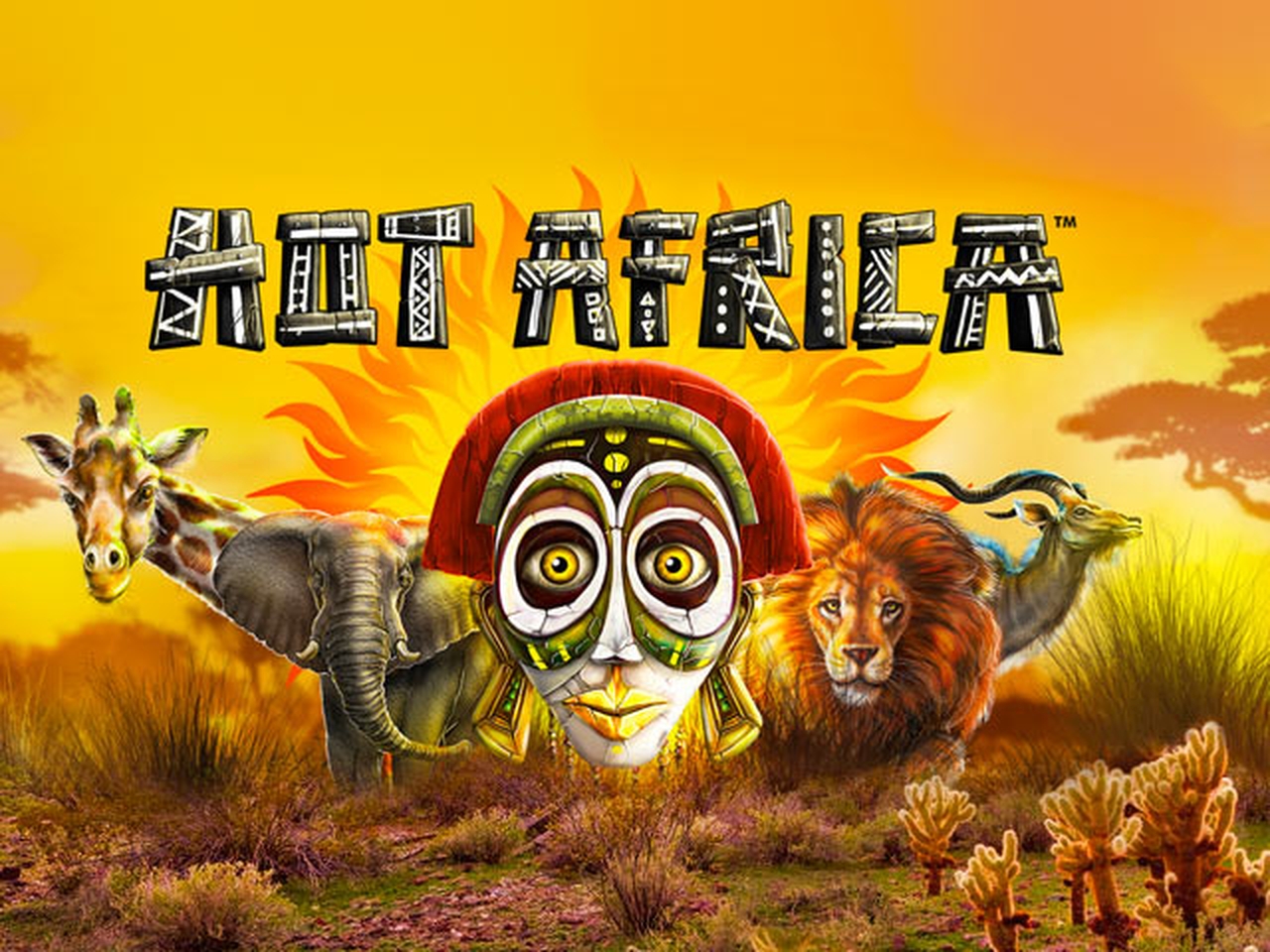 The Hot Africa Online Slot Demo Game by Synot Games
