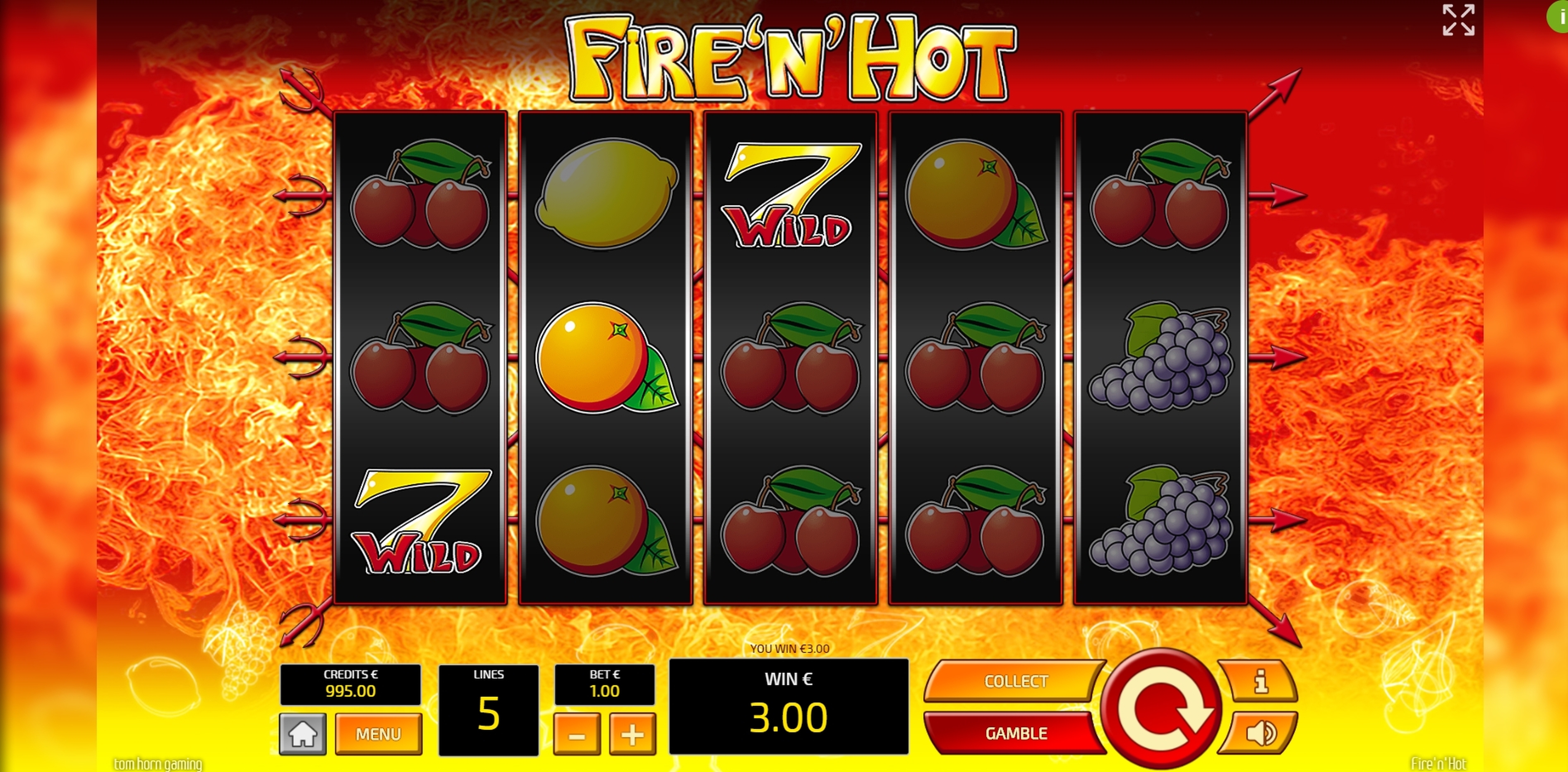 Win Money in Fire'n'Hot Free Slot Game by Tom Horn Gaming