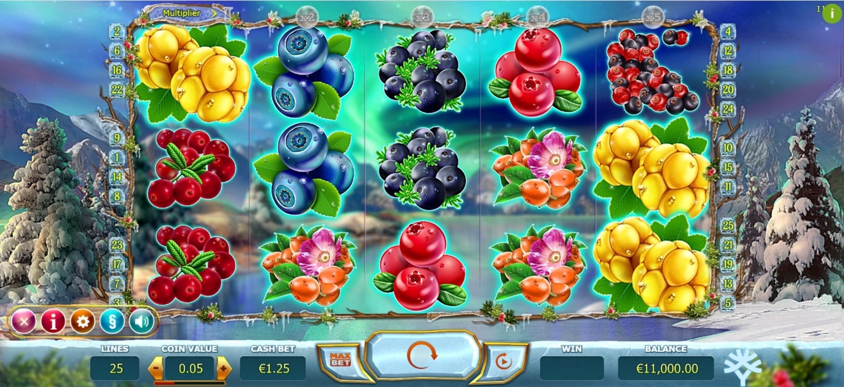Reels in Winter Berries Slot Game by Yggdrasil Gaming